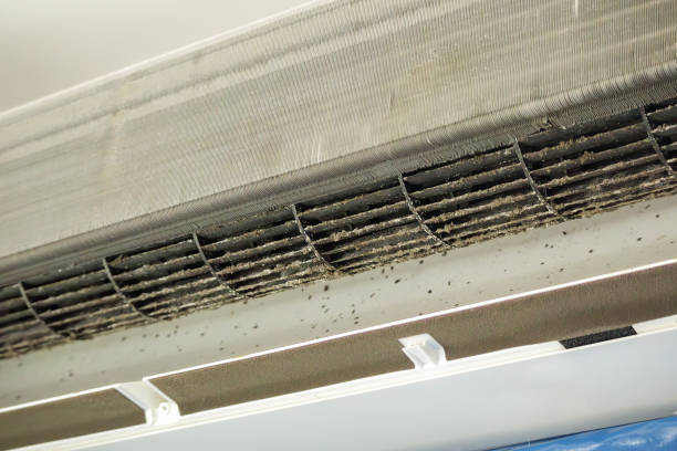 Best Best Air Duct Cleaning Company  in Osceola, IA