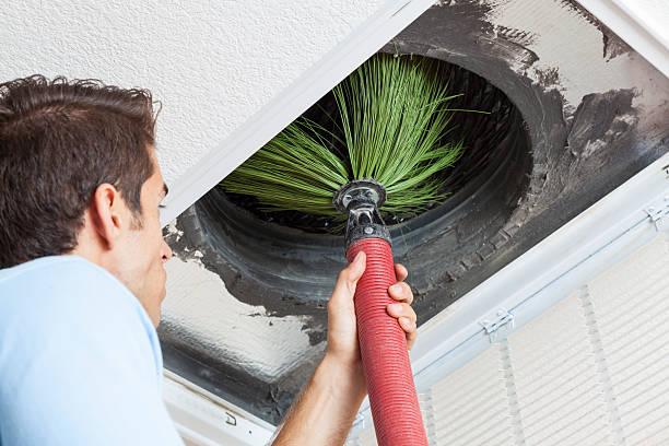 Best Home Air Vent Cleaning  in Osceola, IA
